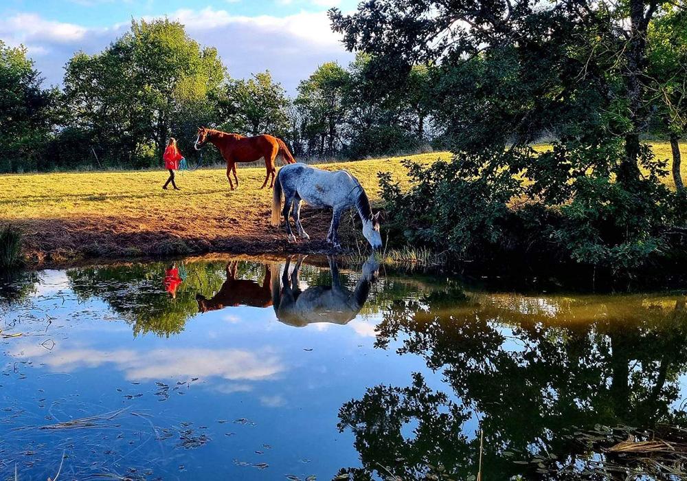 Poney club près de Cahuzac-sur-Vère