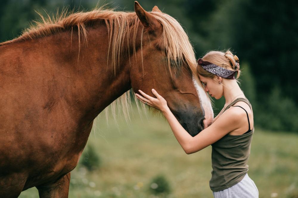Équitation éthologique près de Cahuzac-sur-Vère