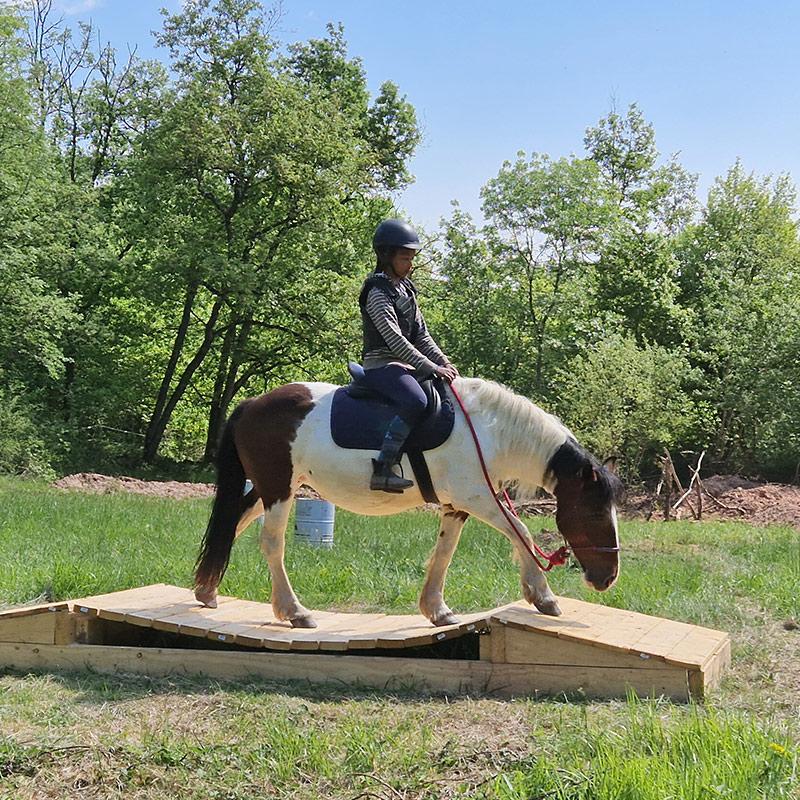 cavalier-pont