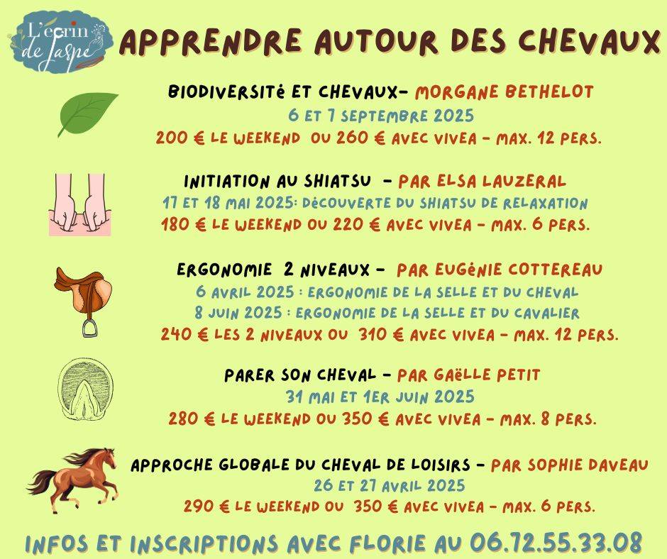Les stages équestres 2025