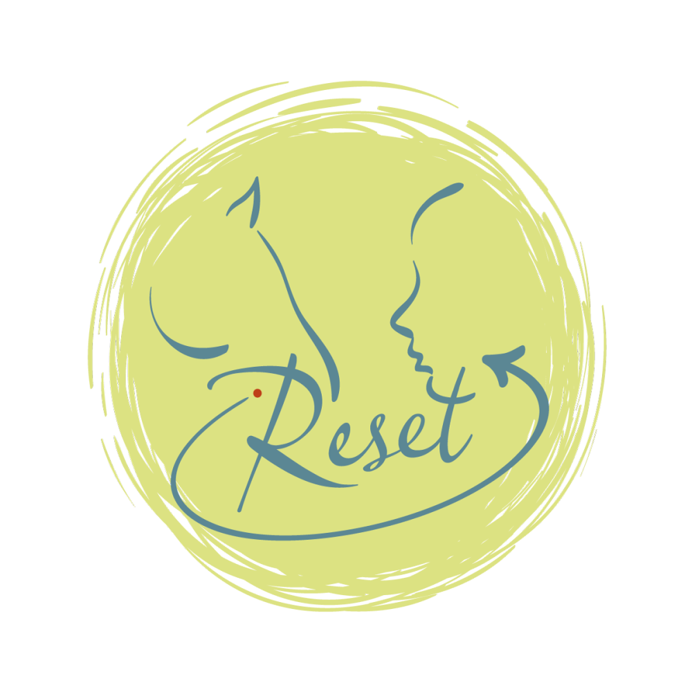 LOGO_RESET_web