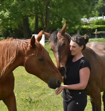 06 et 07/09 : Biodiversité et chevaux avec Morgane Bethelot (Equiflore)