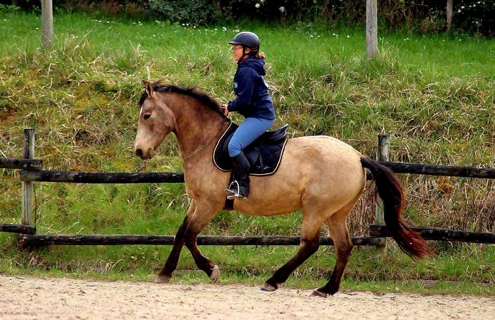 received_371336674844388