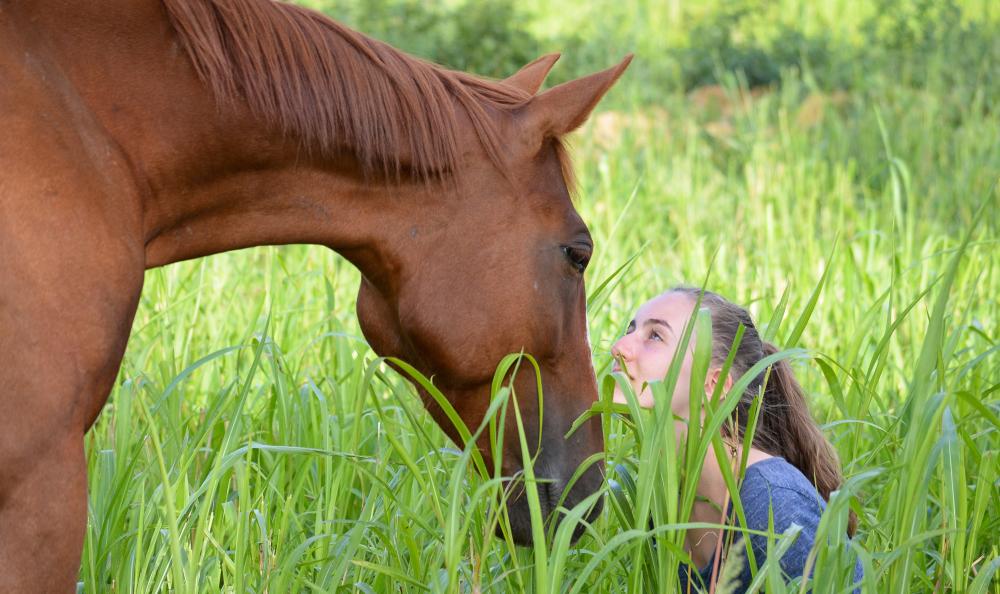 Cours d'équitation 2025/2026