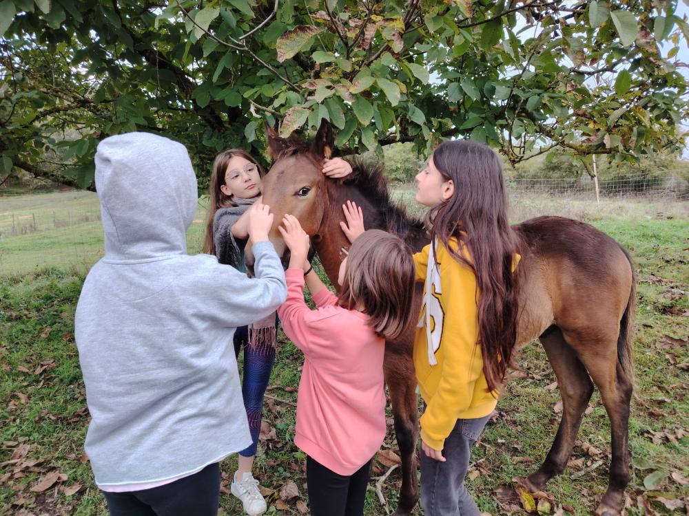 Séjours enfants et adultes près de Brens