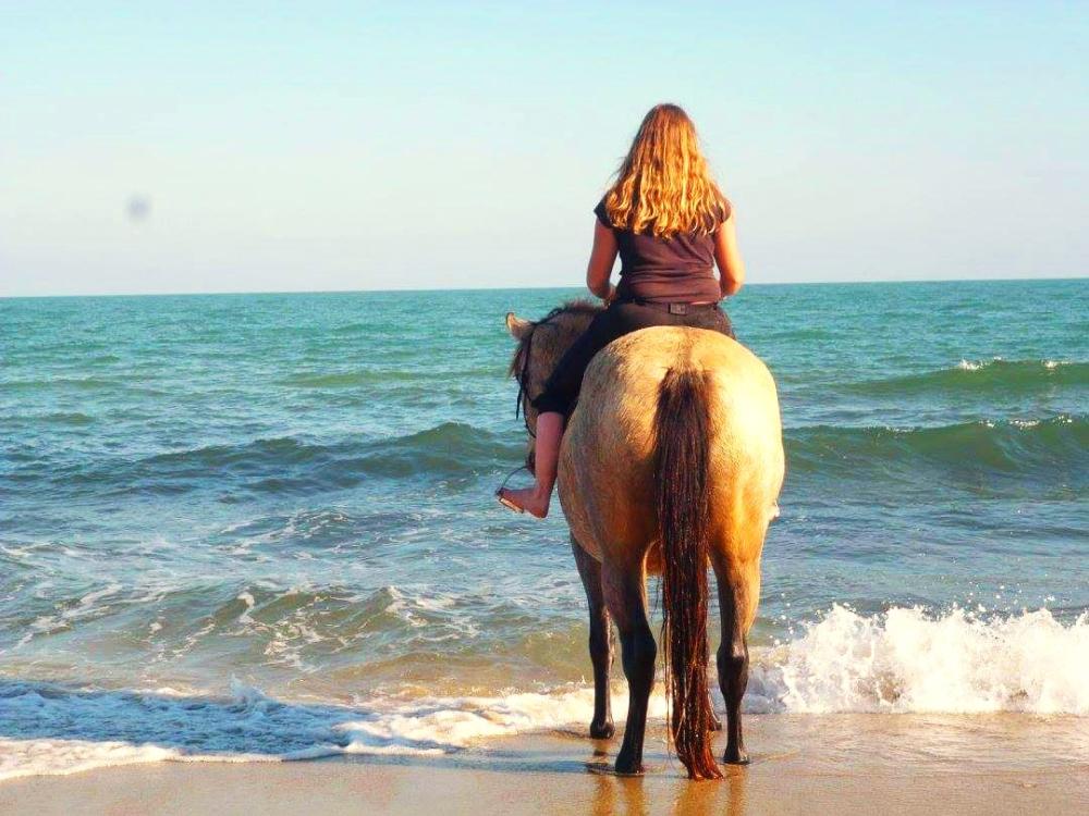 FB_IMG_1637224178938