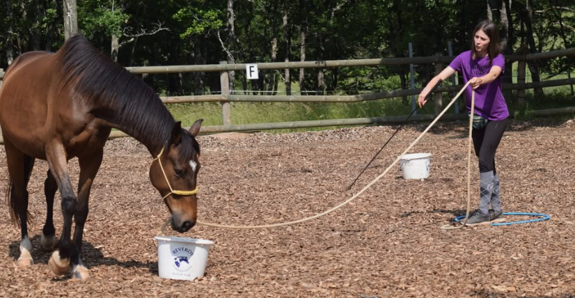 EQUI EDUC 2026 ! 5e Edition ! 25 mai 2026