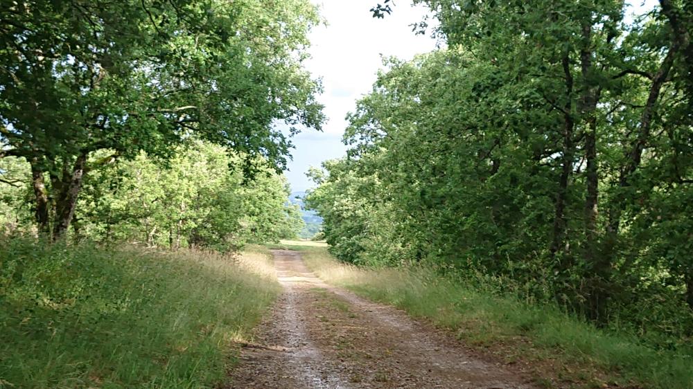 83346628_2617011391886614_7528925400412454912_n